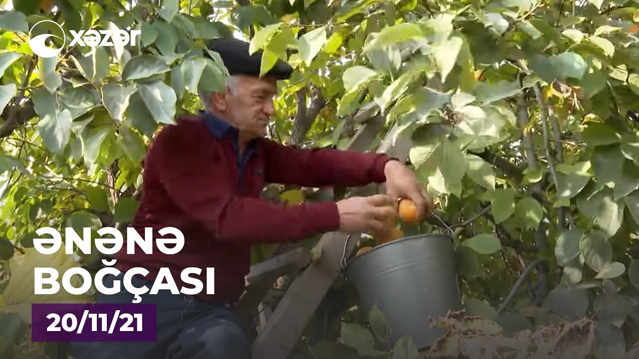 Ənənə Boğçası - Qazax  20.11.2021