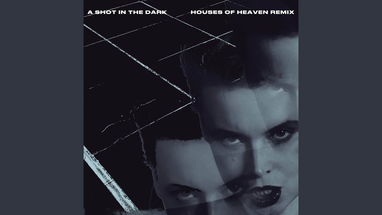 A Shot in the Dark (Houses of Heaven Remix)