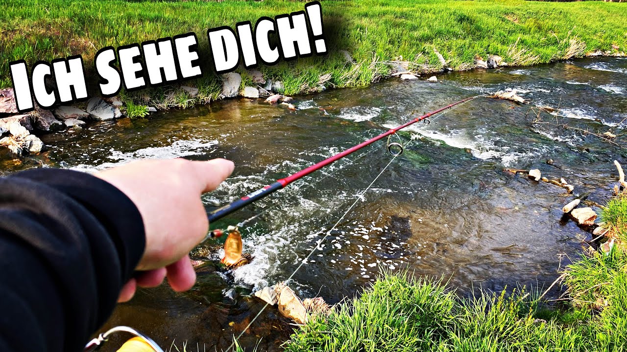 Bachforellen angeln
