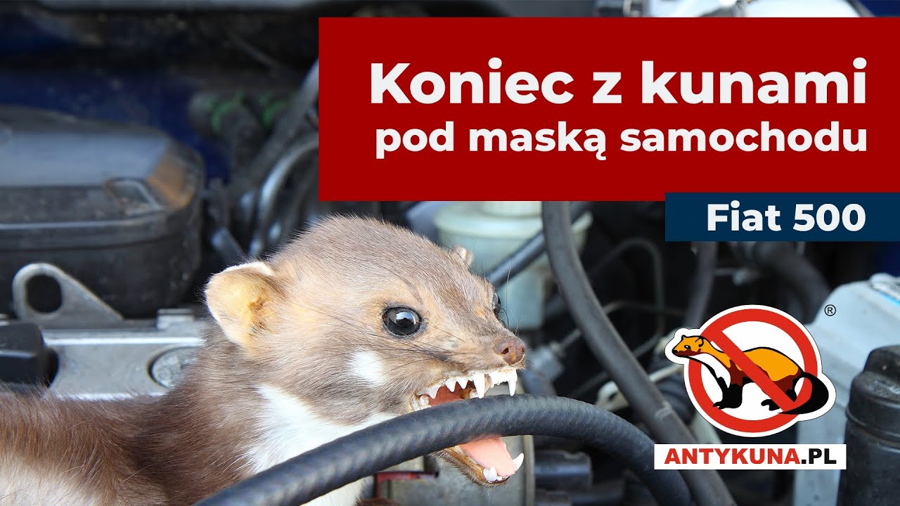 Koniec z kunami pod maską – Zobacz odstraszacz ANTYKUNA pod samochód w akcji! 🚗