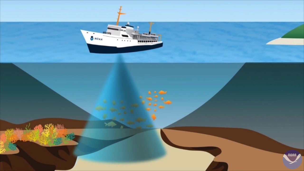 Researchers Study Ecological Role of North Carolina Shipwrecks and Reefs