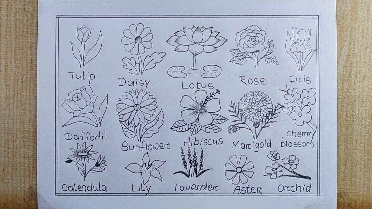 Different types of Flowers drawing easy| How to draw 15 different types Flower| Flower chart drawing