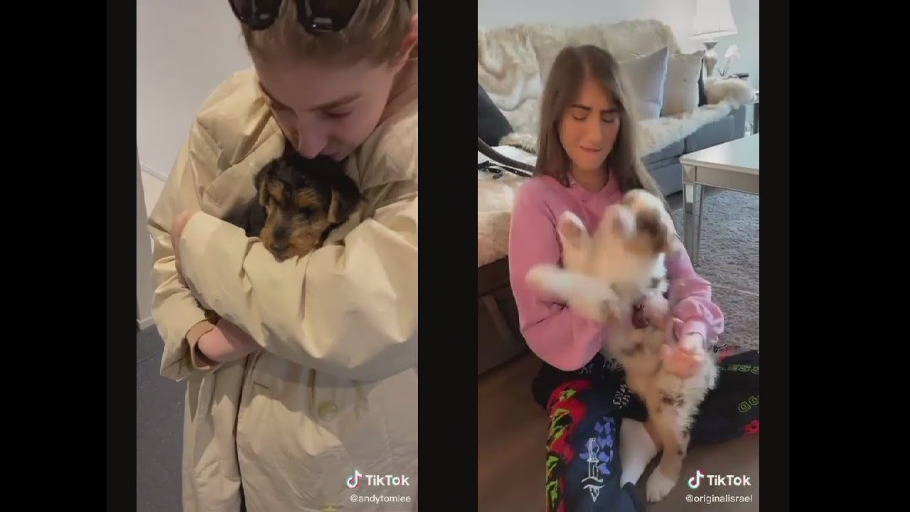 Boyfriend surprises girlfriend with  puppy#4millionviews