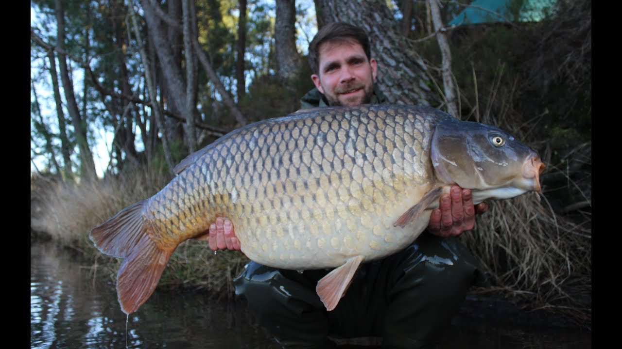 France Carp Fishing- Rainbow 2019 Pegs 1&2