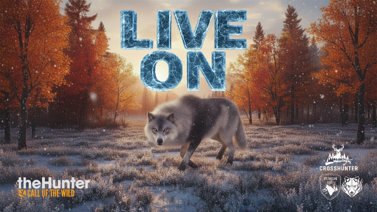 EM BUSCA DO 6 * GREAT DE LOBO NO YUKON VALEY  311 ABATES