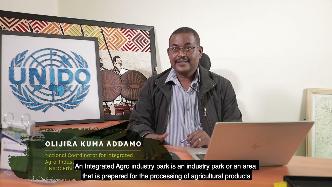 What is an integrated agro industrial park