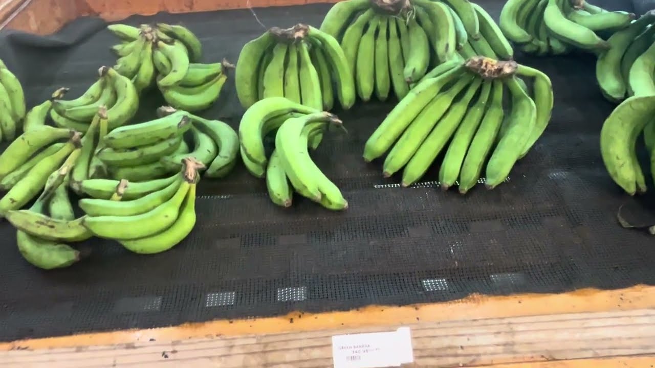 	1.	Shopping in Downtown Kingston Market — It Rough Out Ya! Real Life Story! 