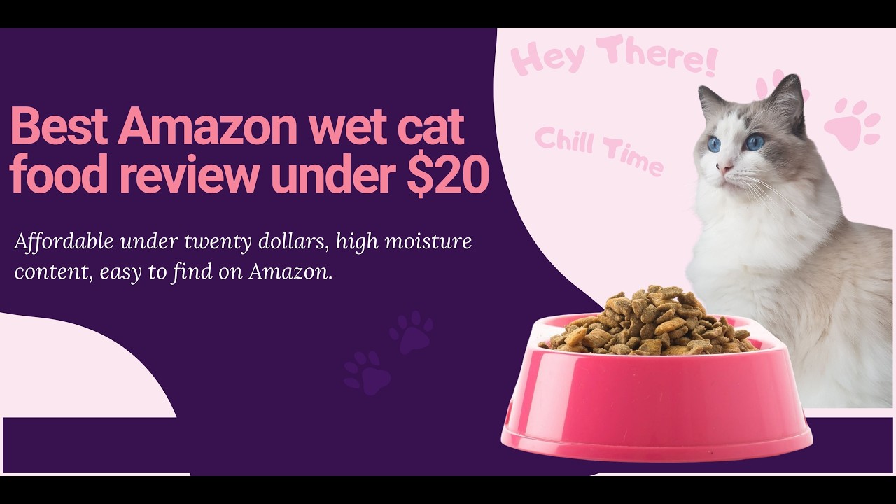 Amazon Wet Cat Food Review Under $20 | Fancy Feast vs Friskies vs 9Lives