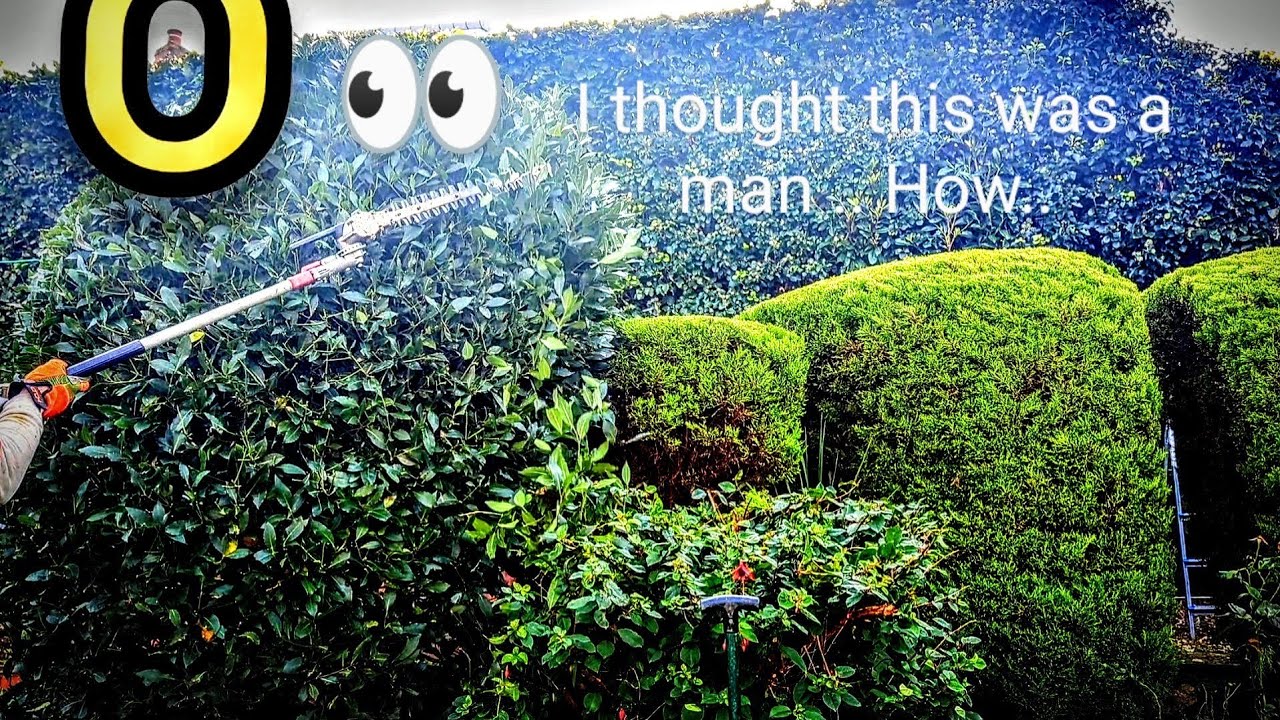 Multiple shrub cut and clear