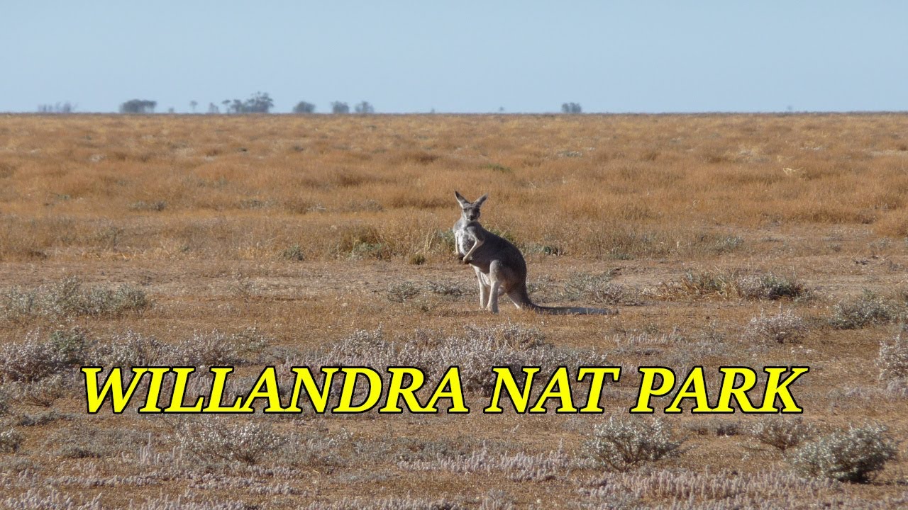 Willandra National Park Visit