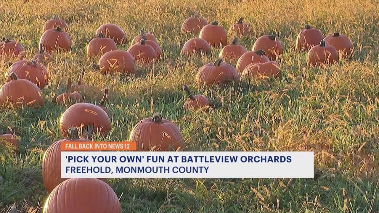 Battleview Orchards in Freehold Falls Back Into News 12