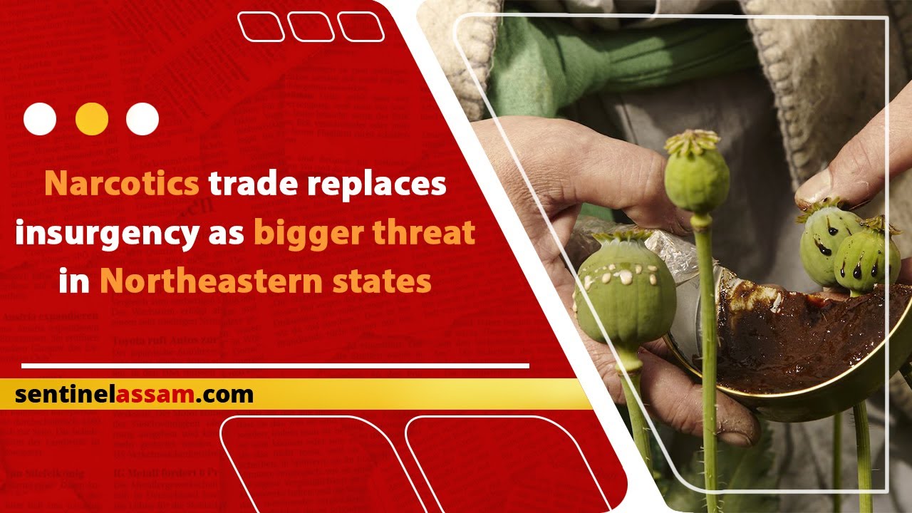 Narcotics trade replaces insurgency as bigger threat in Northeastern states