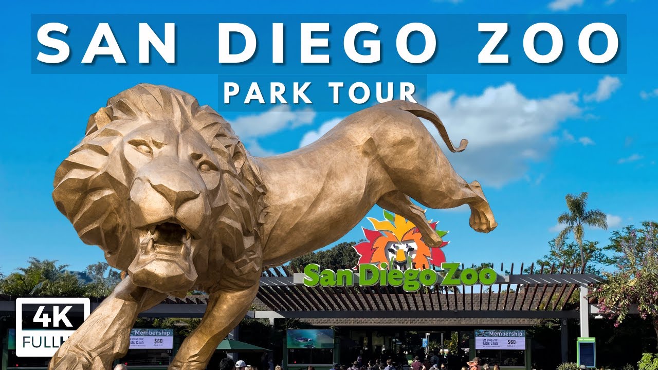 San Diego Zoo Full Tour - Exhibits, Tips & Animal Information