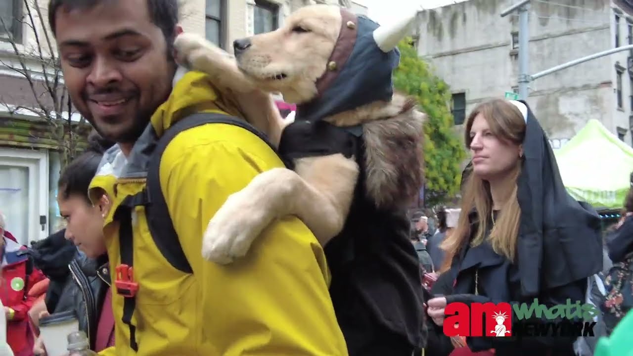 The 33rd Annual Tompkins Square Halloween Dog Parade