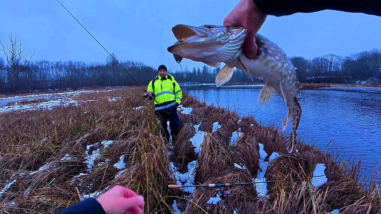 Лучшая осенняя приманка на хищника сделана своими руками 