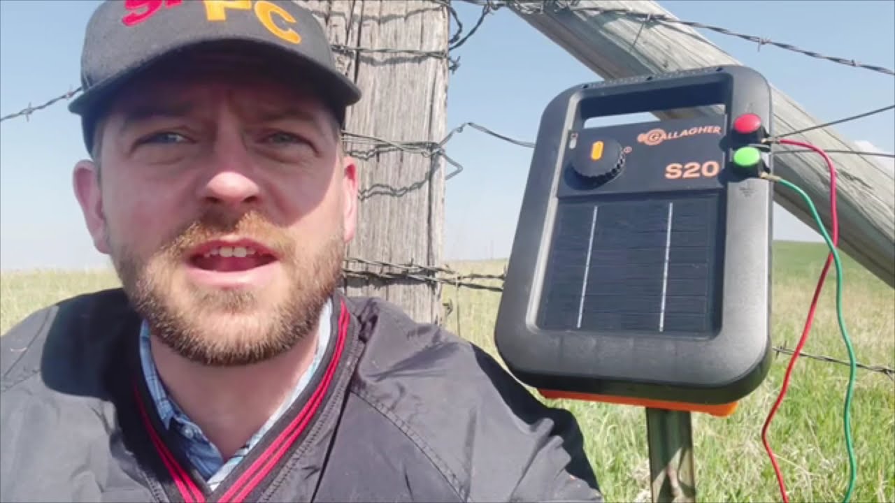 Using Electric Fence to Stretch Grazing
