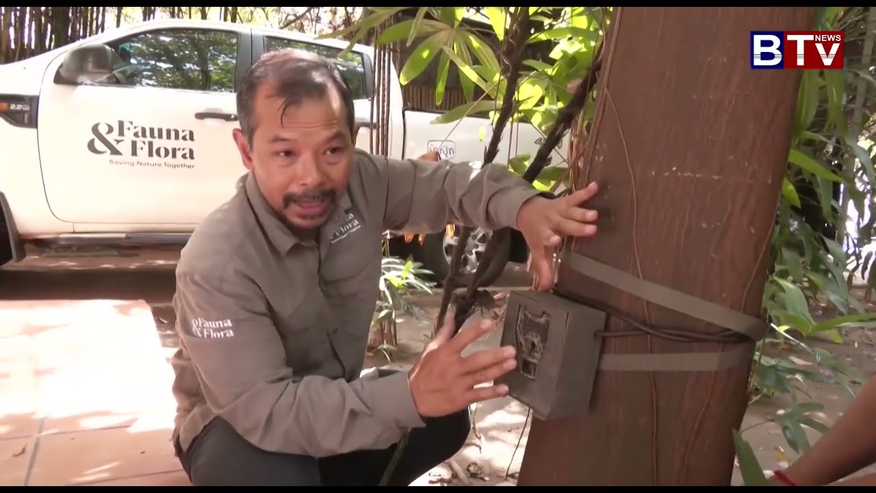 បទយកការណ៍៖ ឧទ្យានជាតិវីរៈជ័យបង្ហាញវត្តមានត្បូងពេជ្ររស់ដែលពិភពលោកកំពុងព្រួយបារម្ភ