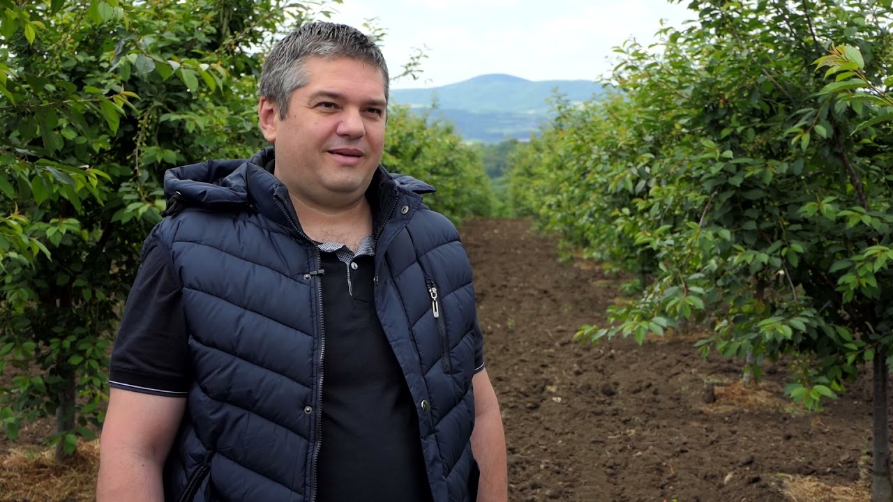 Domaćine kako radiš 28.06.2021. Proizvodnja višanja, Vlaška, Landol