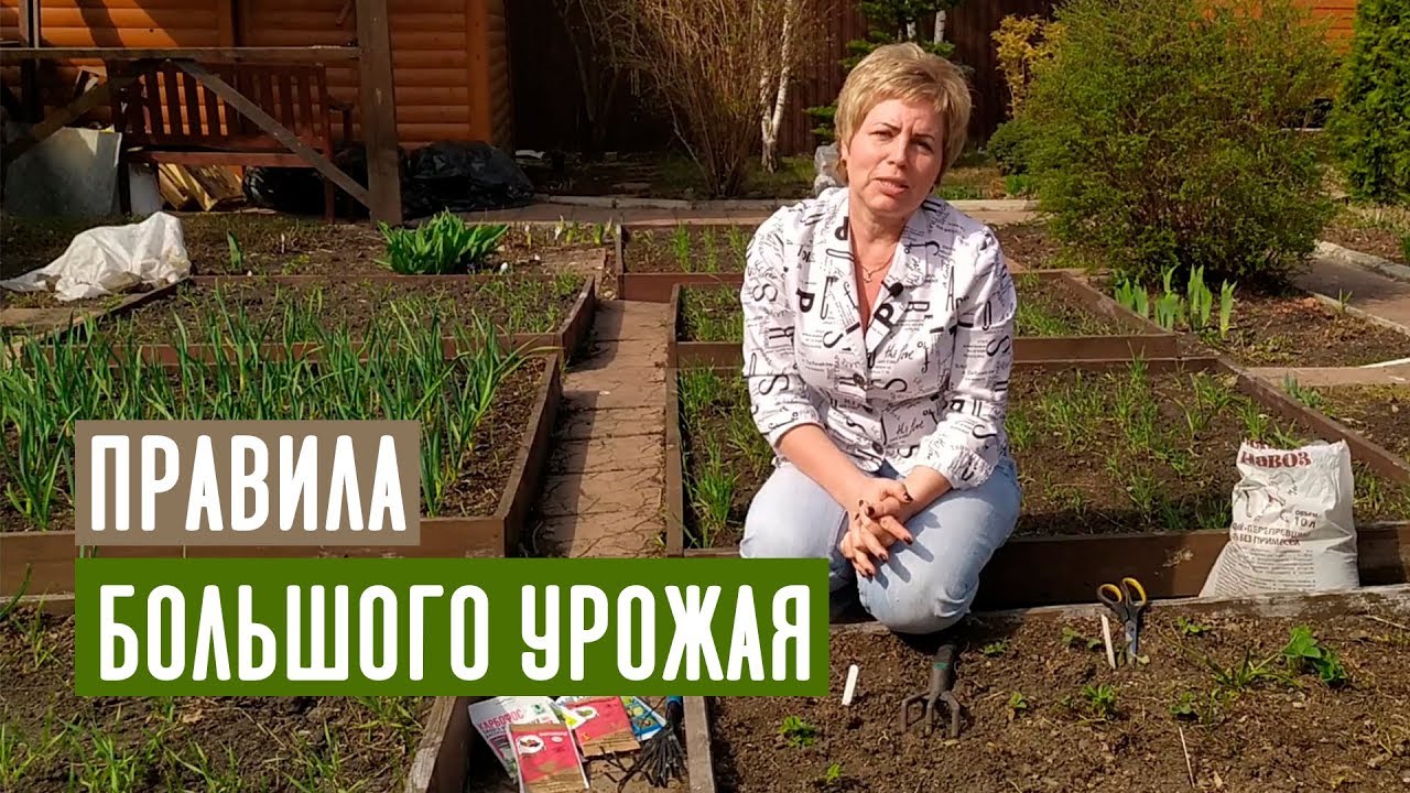 КЛУБНИКА ВЕСНОЙ 🍓 Основные правила ухода / Садовый гид