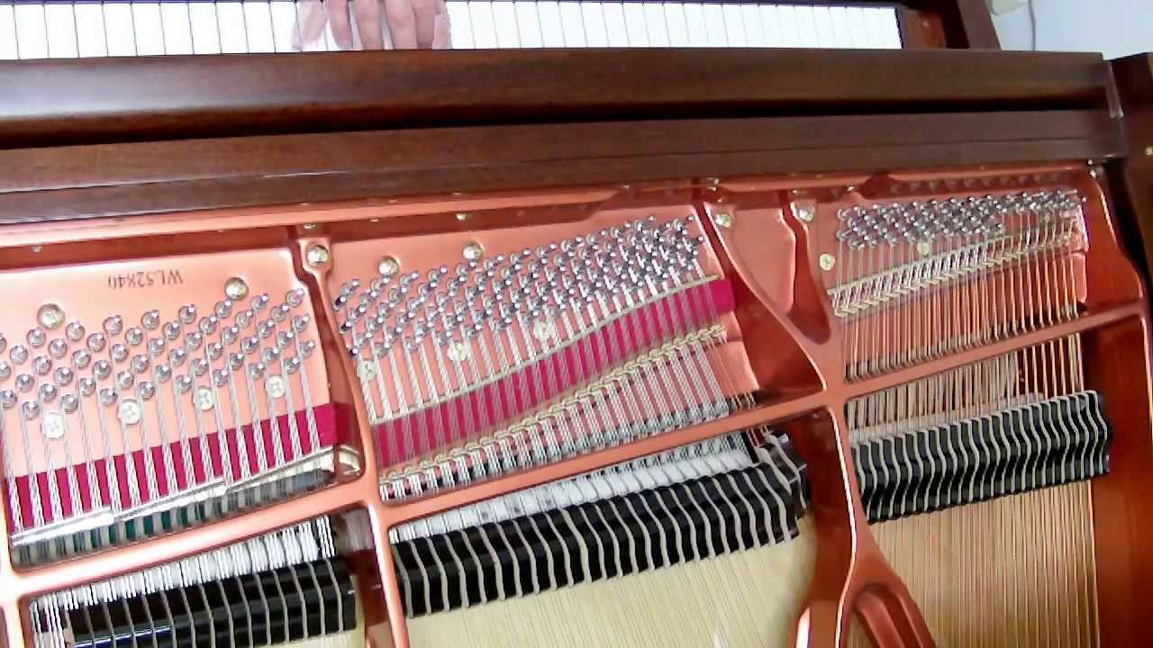 2014 01 07 count xiii on the piano - 