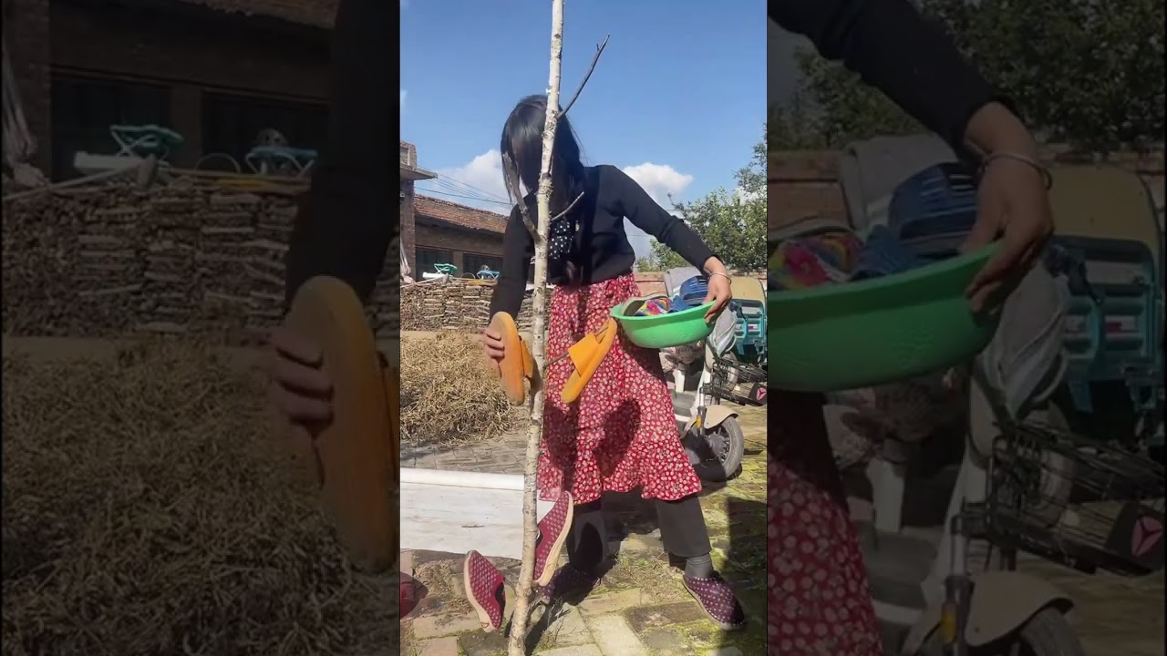 Have you seen such a tree?#Jugaad  #Humor #Traditional #Funny #VillageVlog #DIY  #WaitForIt #trendin
