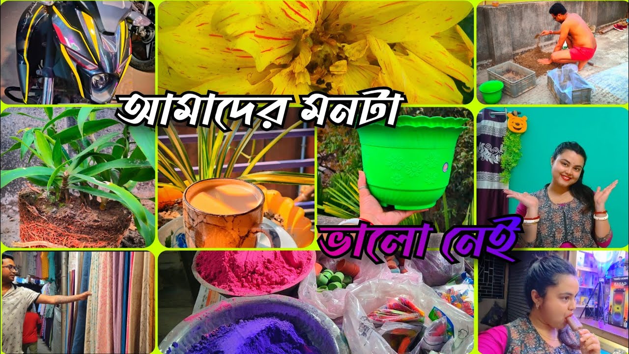 🪴আমাদের কারোরই মনটা ভালো নেই কিন্তু তারপরেও😔নিজেদেরকে একটু ভালো রাখতে হয় ,আজকে সারাদিন টা কি করলাম 