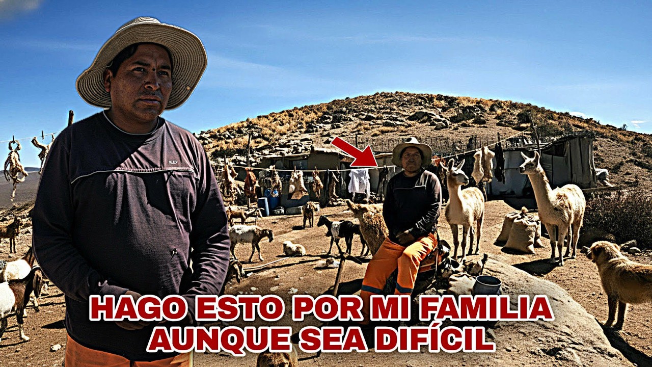 LA DURA vida de un JOVEN pastor que PASTEA su GANADO entre RISCOS y MONTAÑAS a FALDAS de un VOLCÁN