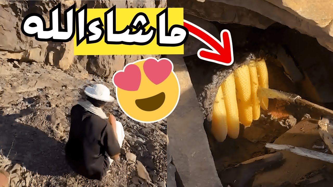 رحلة لخشبة ام جنيب! (اخطر خليه نحل!) 🐍