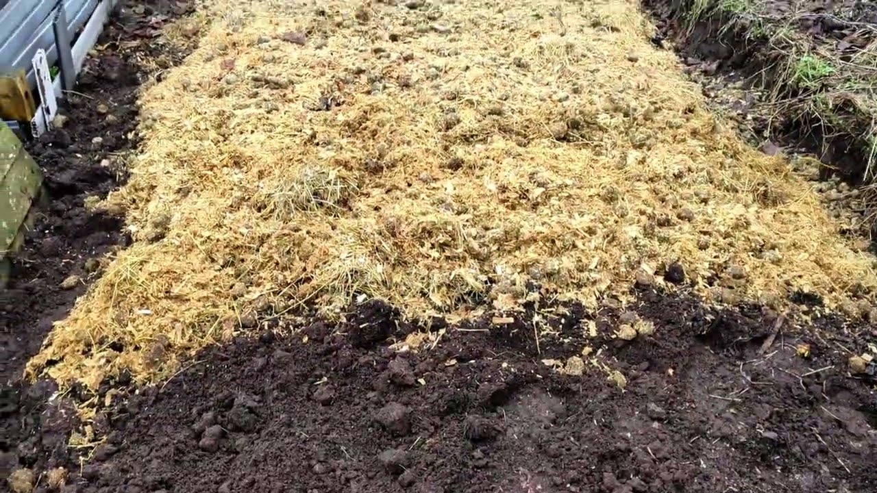 Mulching and minimal disturbance gardening