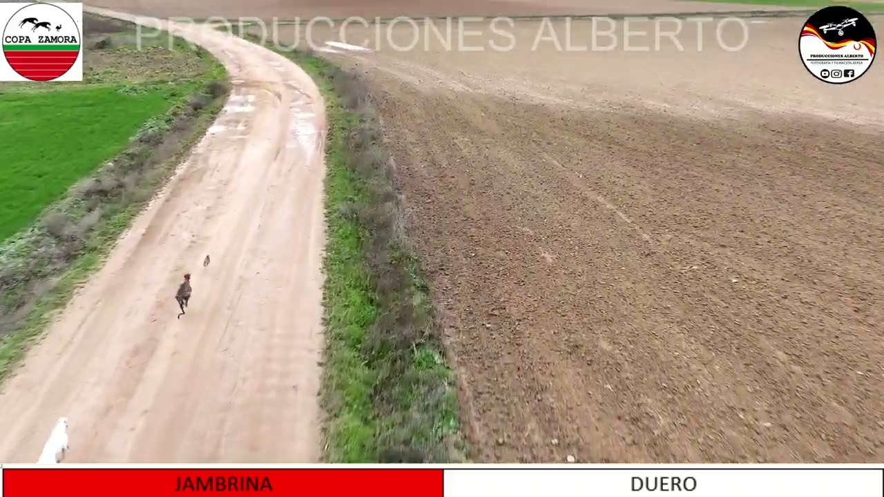 RESUMEN COPA ZAMORA DE GALGOS EN CAMPO 2023 2024 , 2º GRUPO DE OCTAVOS