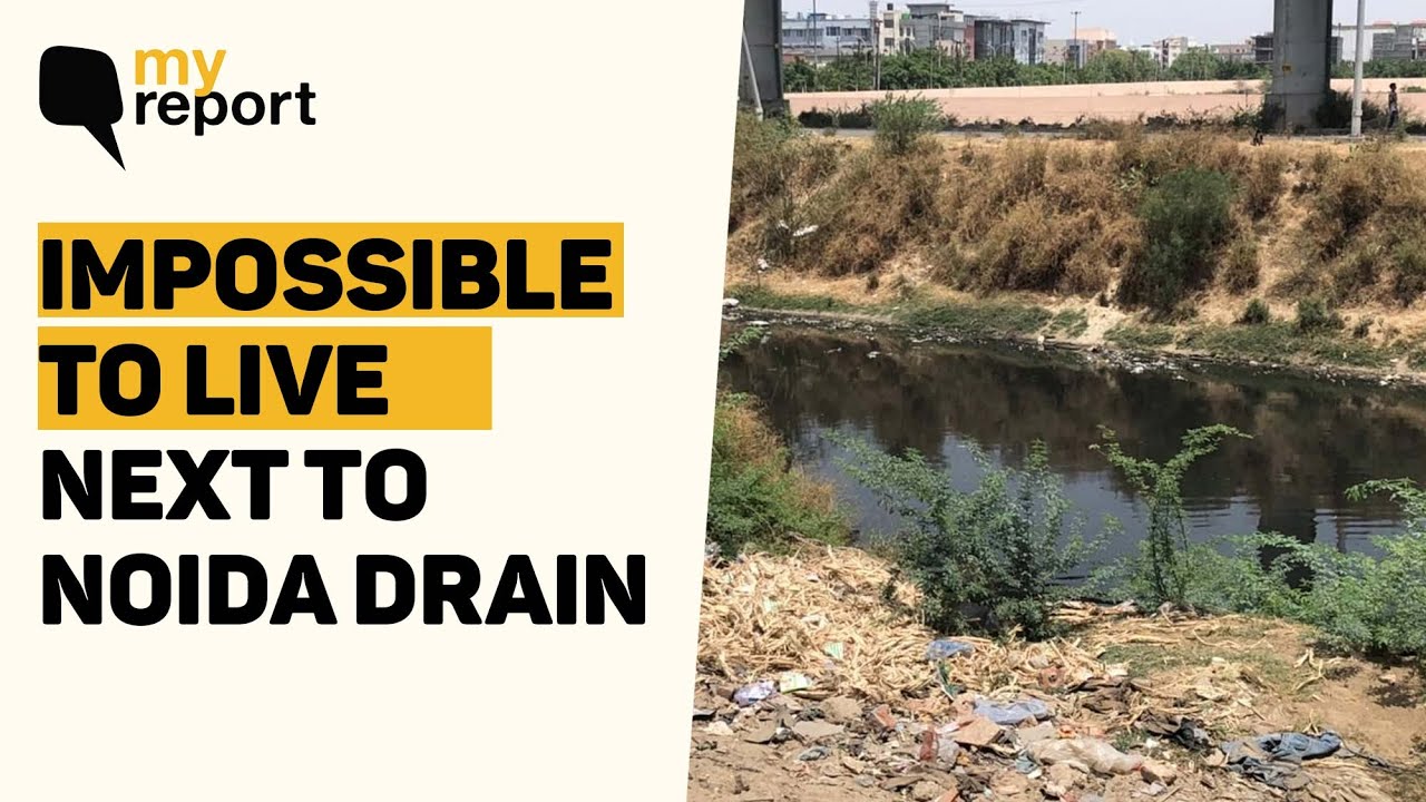 'Foul Smell, Poisonous Emissions – Noida's Drain Has Added to Our Misery' | The Quint