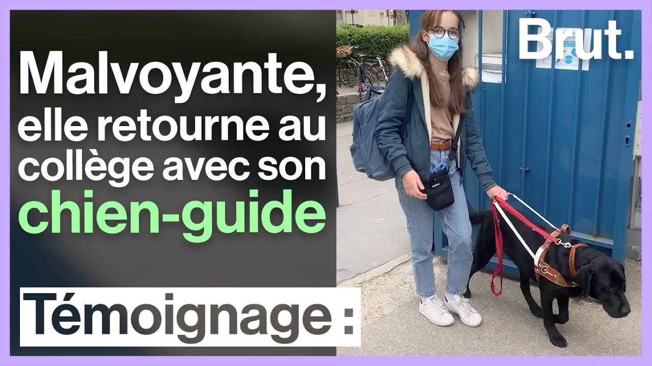 Malvoyante, Bérénice retourne au collège avec son chien-guide, Opium