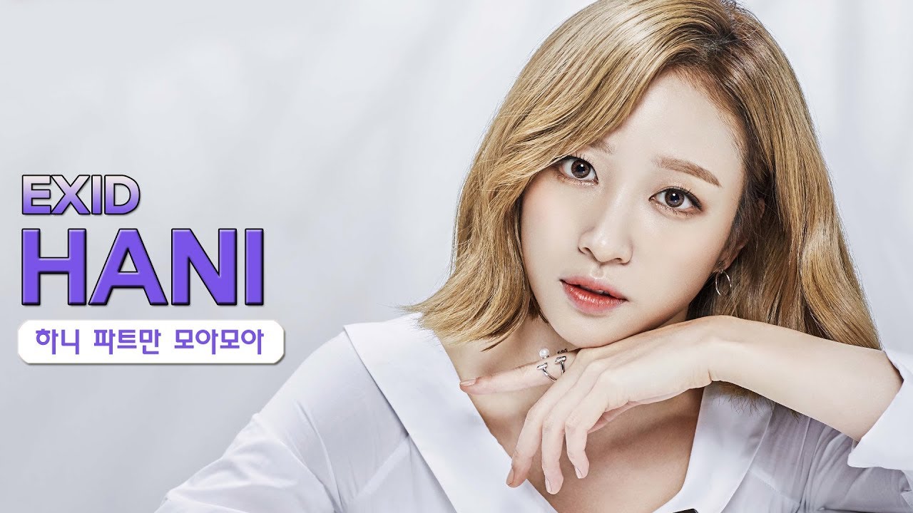 EXID 하니 만을 위한 파트 분량 체크기 EXID HANI