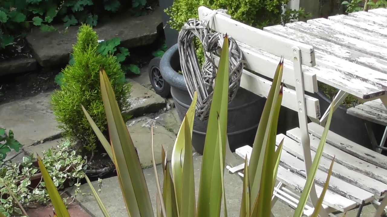 Panasonic  HC- W580 Zoom (test)