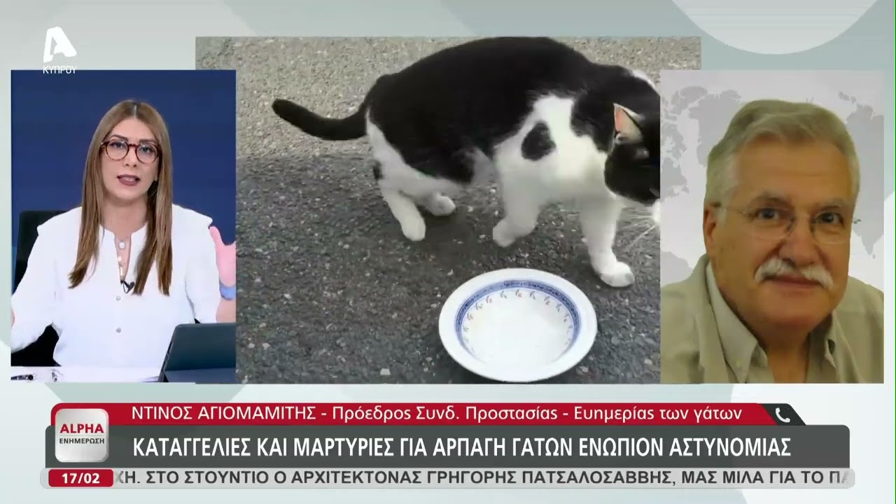 Αιφνίδιος έλεγχος στο σπίτι της γυναίκας που φέρεται να παίρνει γάτες