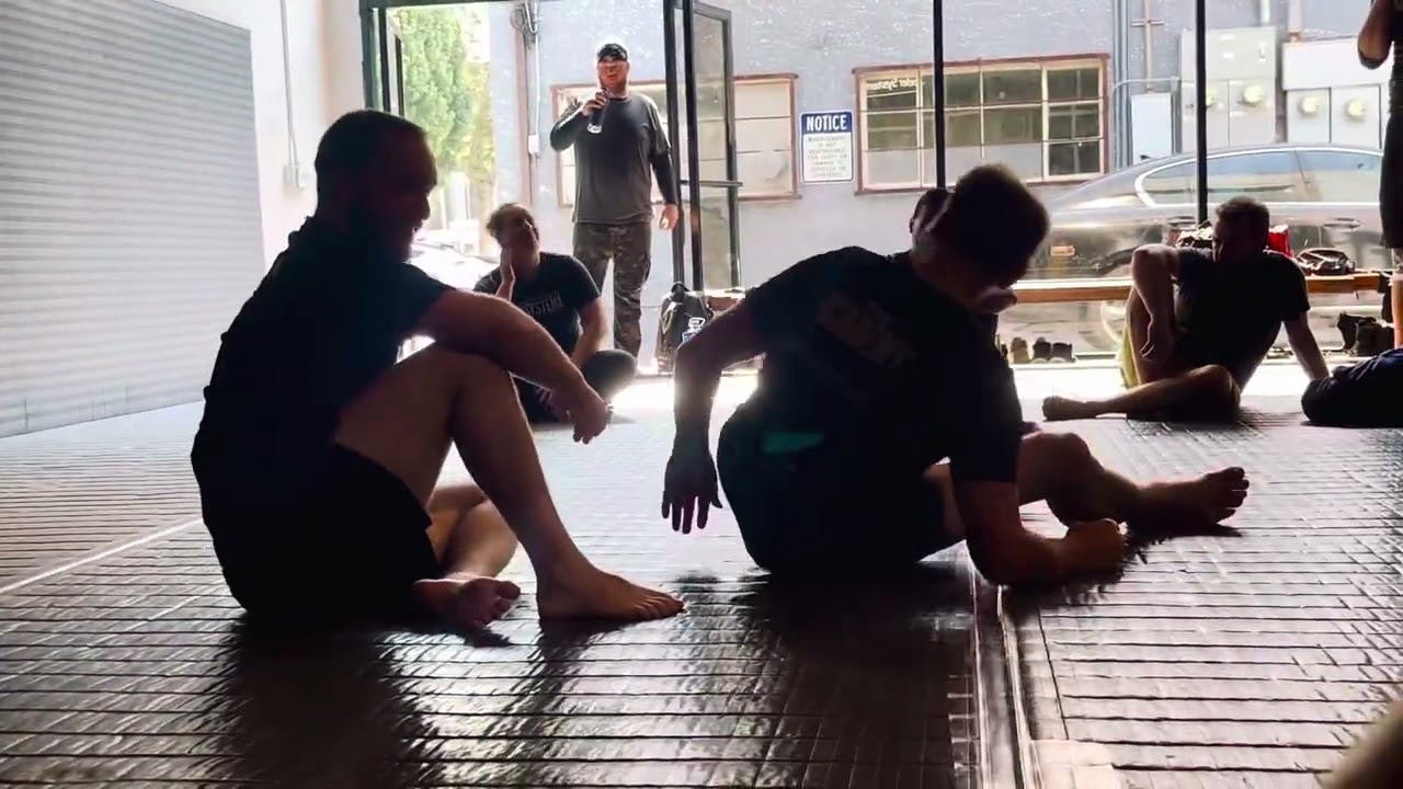 Ballistic breaks on the ground- Wheeler Systema