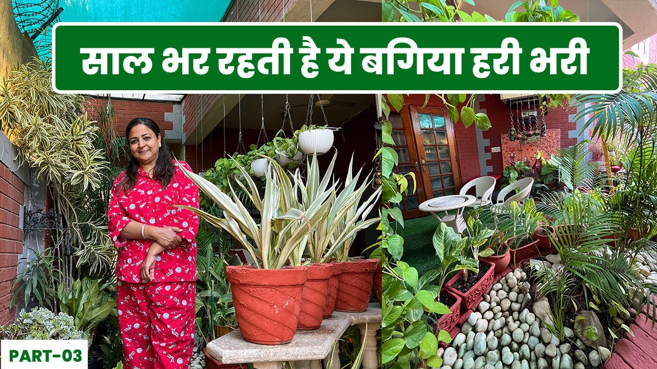 करुणा जी ने बनाया ऑक्सीजोन 😇साल भर रहते है पौधे हरे भरे 🪴Know How to Make Oxyzone in Your Garden😯
