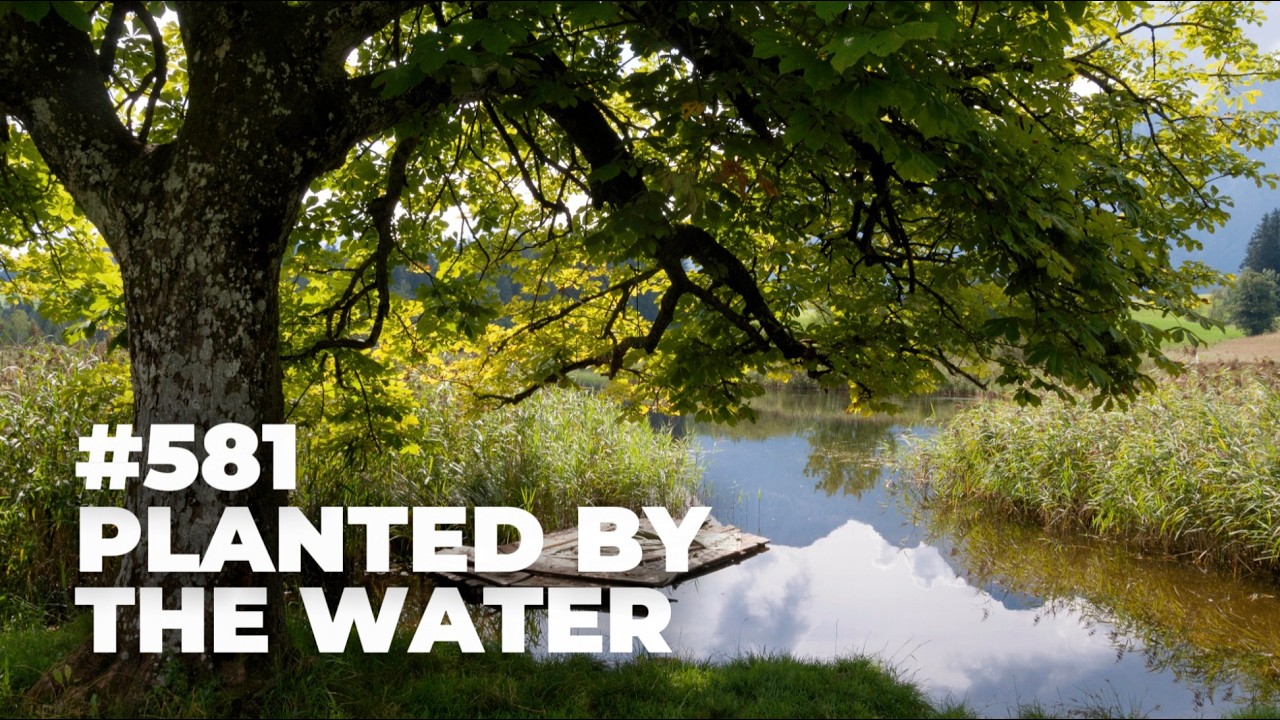 #581 - Planted by the Water
