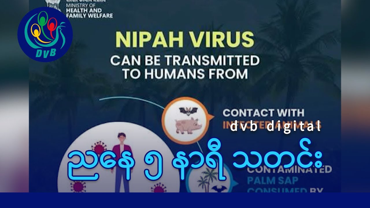 DVB Digital ညနေ ၅ နာရီ သတင်း (၂၈ ရက် ဇန်နဝါရီလ ၂၀၂၆)