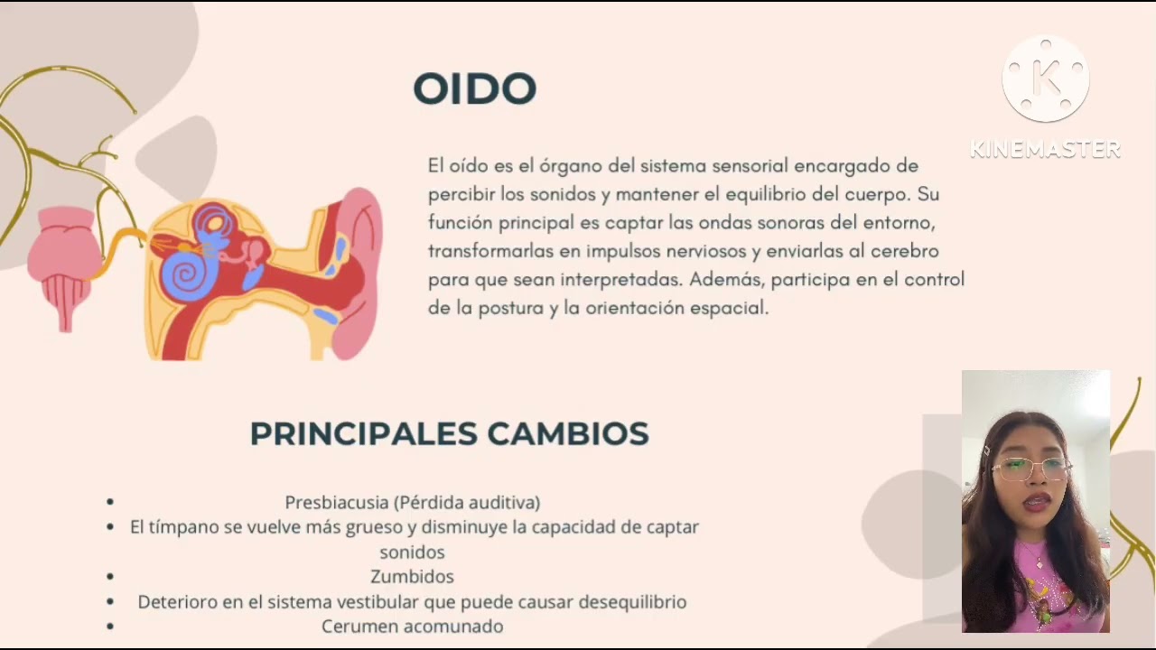 Proceso normal del envejecimiento/ Sistema sensorial