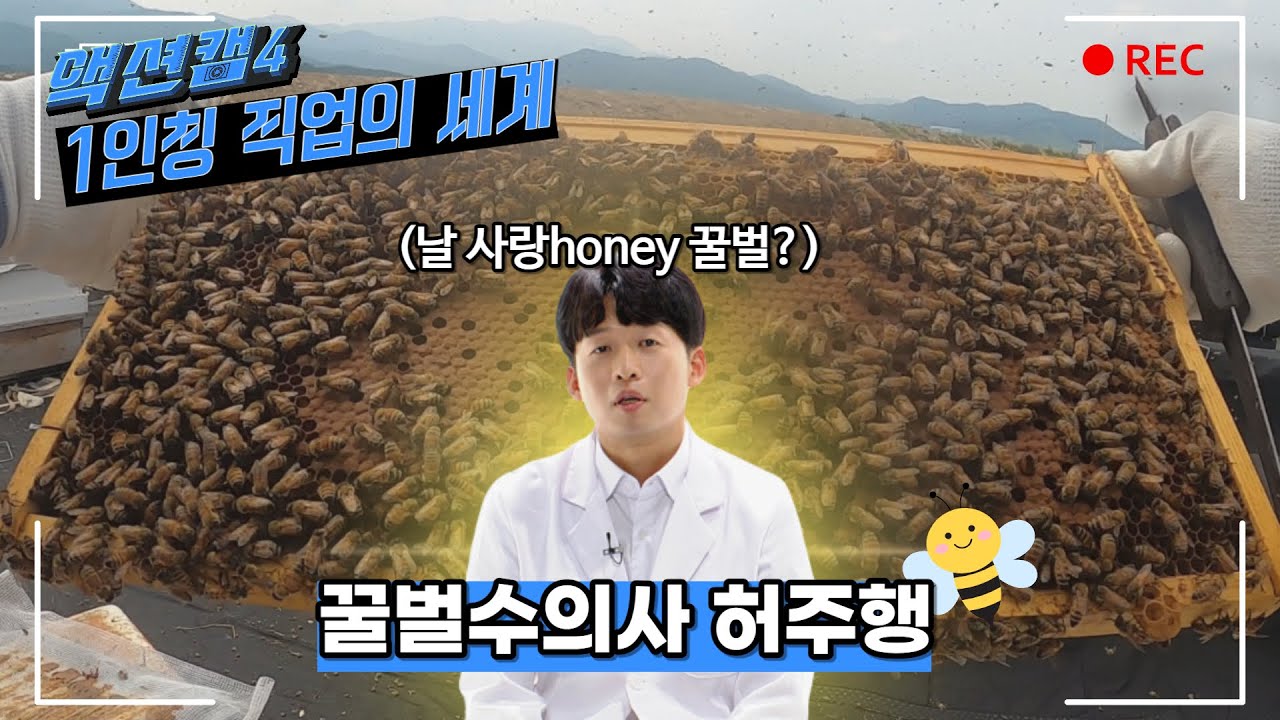 [1인칭 직업의 세계] 우리나라에서 오직 2명만 가지고 있는 직업! 꿀벌수의사 허주행 수의사를 소개합니다!