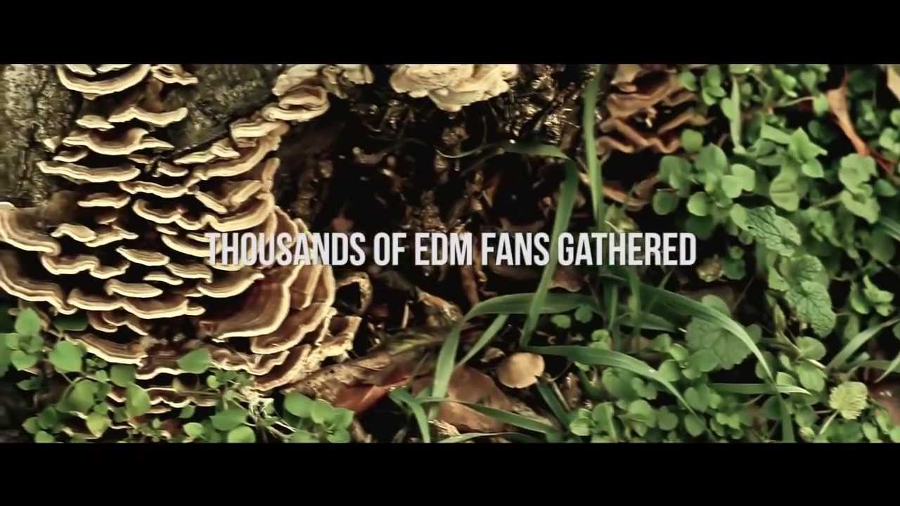 FUN IN THE SUN FESTIVAL - FEBRUARY 2013 AFTERMOVIE