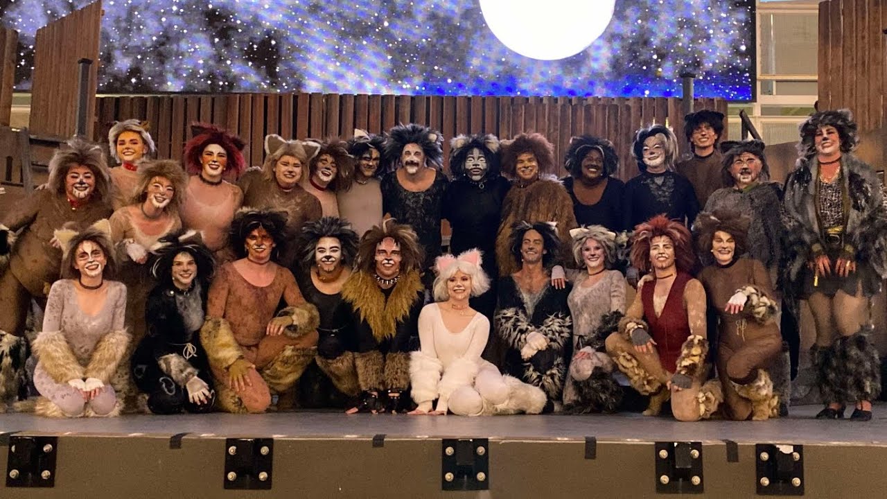 CATS! the musical - vlog