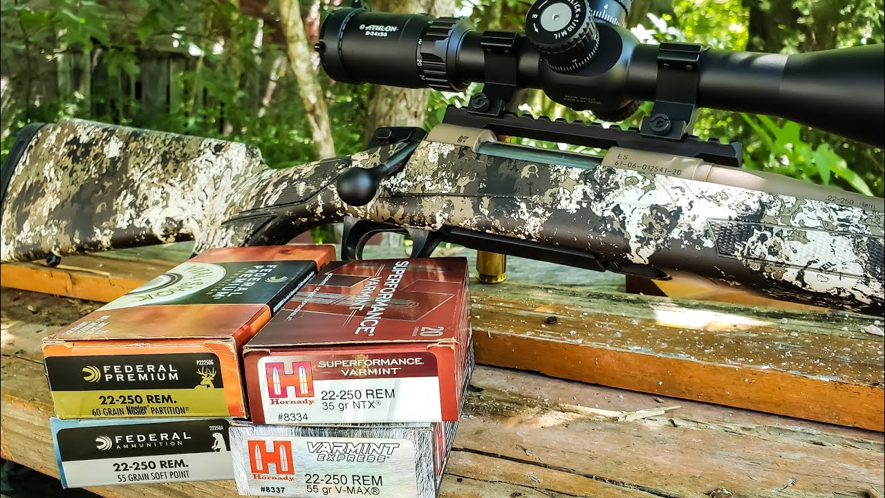 22-250 - Ammo Test - 100 yard groups