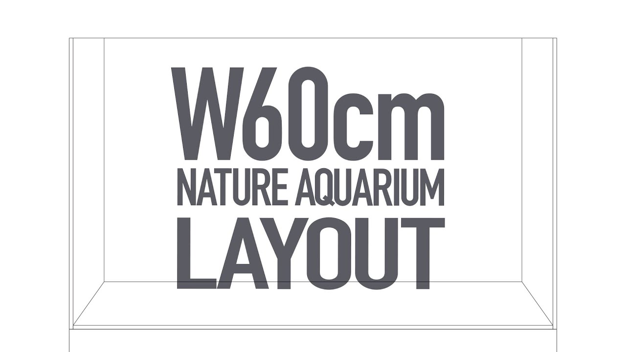 [ADAview] W60cm Nature Aquarium Layout ネイチャーアクアリウム制作解説【EN/JP Sub.】