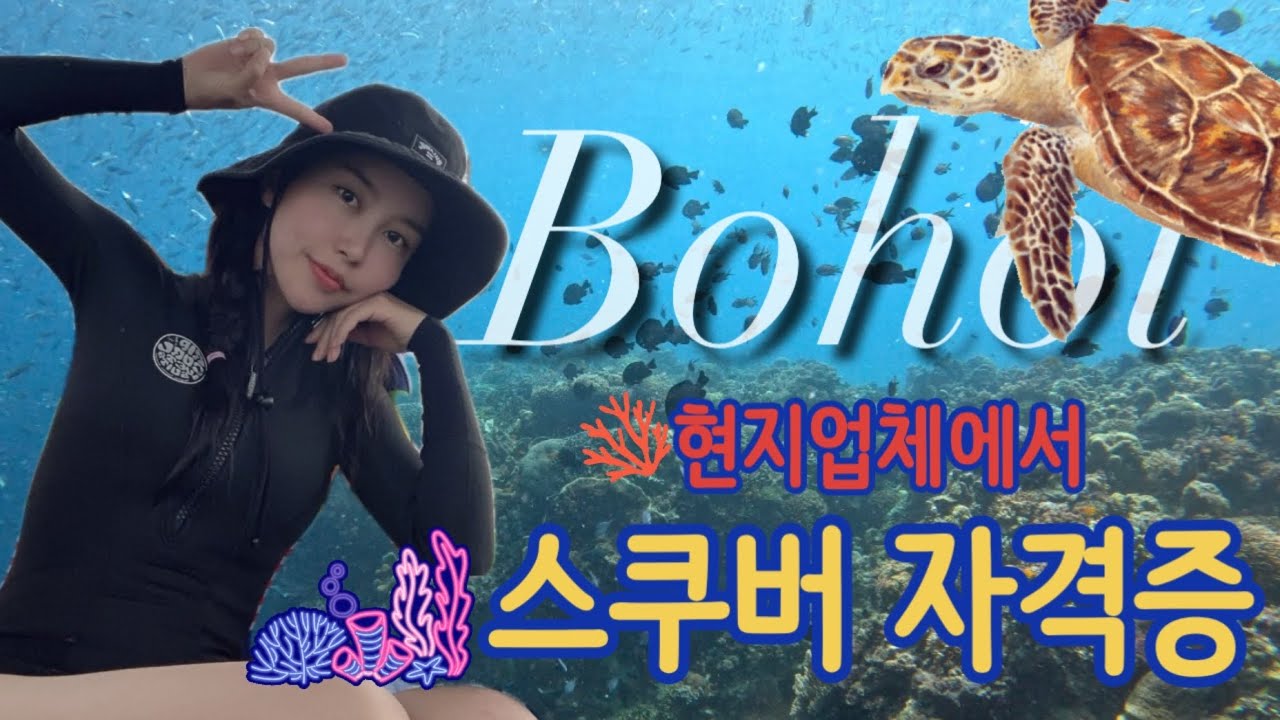 🇵🇭필리핀 보홀 현지업체에서 스쿠버 자격증 어드밴스 취득! | Big blue divers 빅블루다이버 | 더로스트카우 | 스쿠버다이빙
