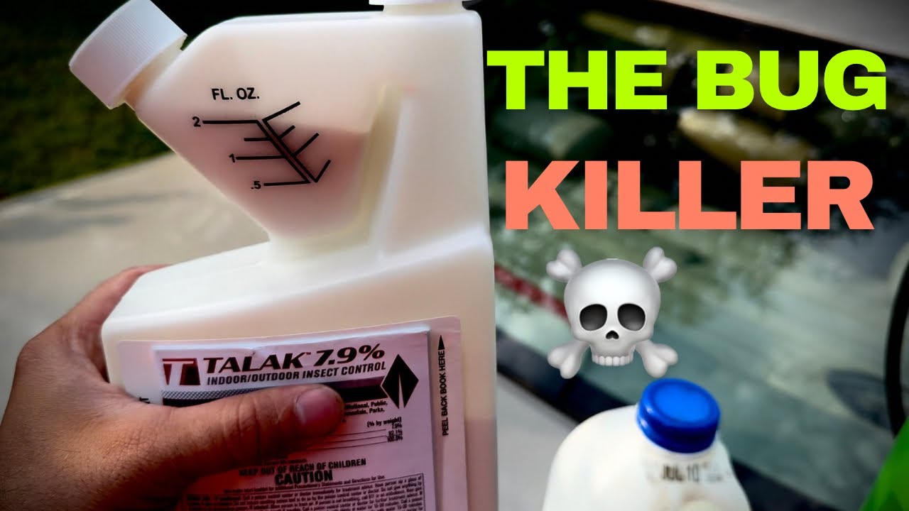 How to kill bugs like a professional landlord talak 7.9