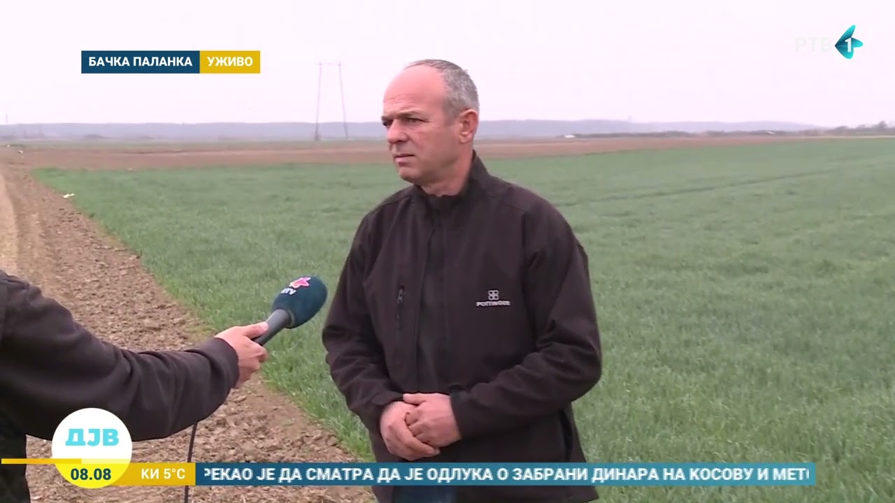 Koliki se prinos pšenice očekuje u Bačkoj Palanci?