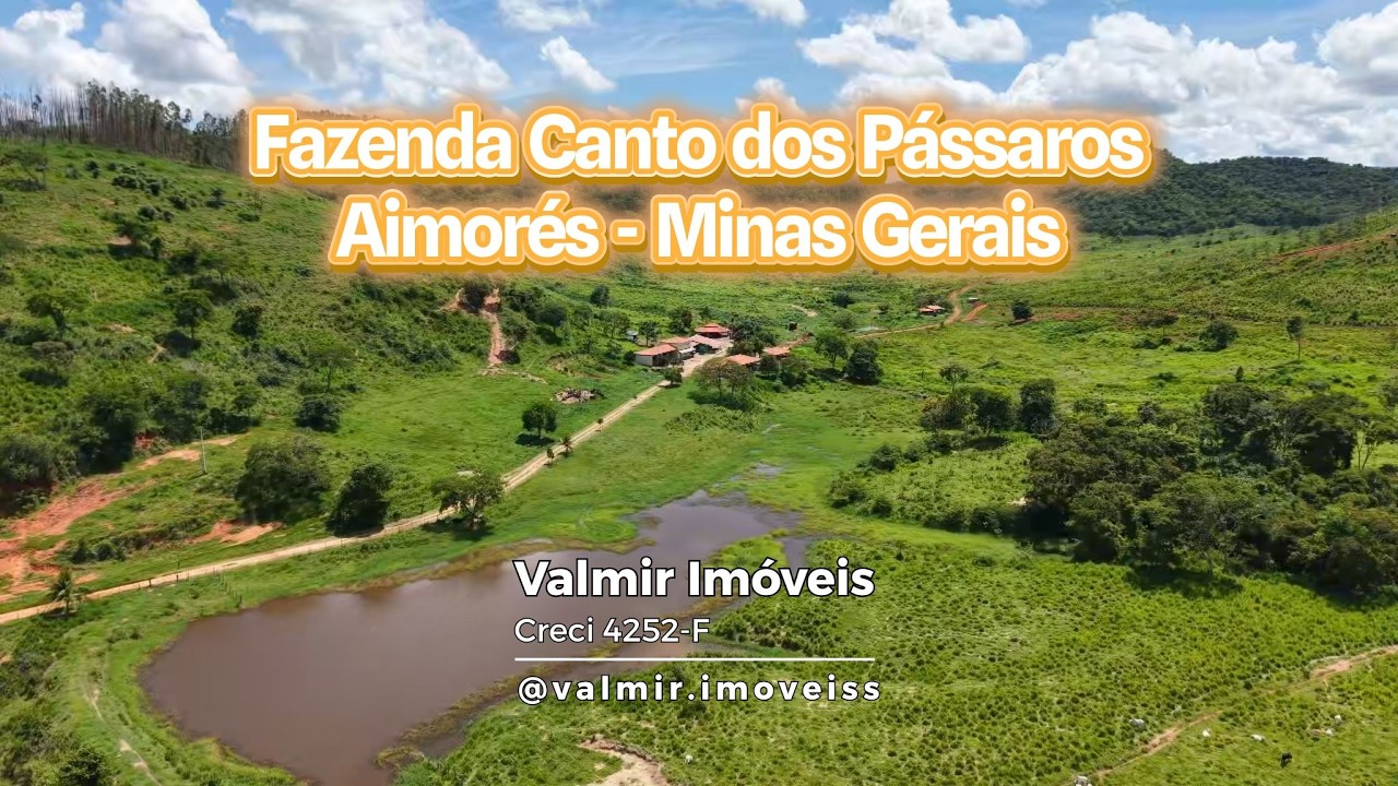 Fazenda Recanto do Pássaros  Aimorés - Minas Gerais