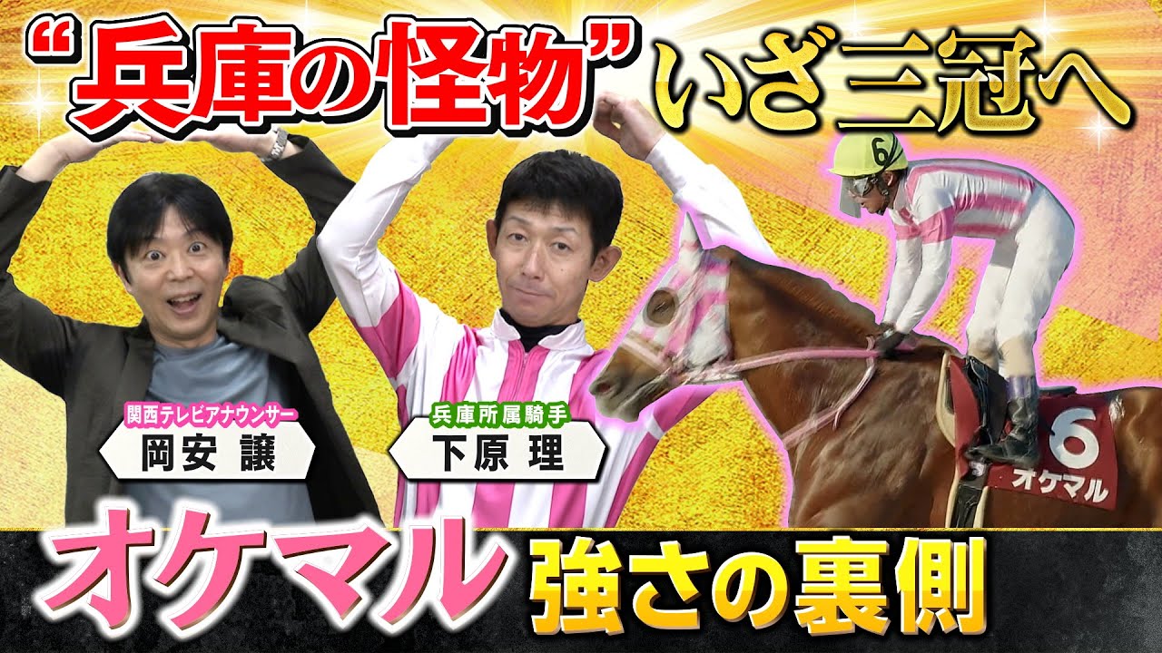 【“怪物”オケマル ２４年ぶり兵庫三冠馬へ】史上初！無敗での三冠制覇を目指すオケマル　強さの裏側を主戦騎手が激白